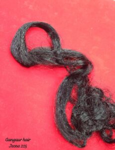 Curly Hair Hairstyle 686634802 10241060620790229 8104455891167615390 n